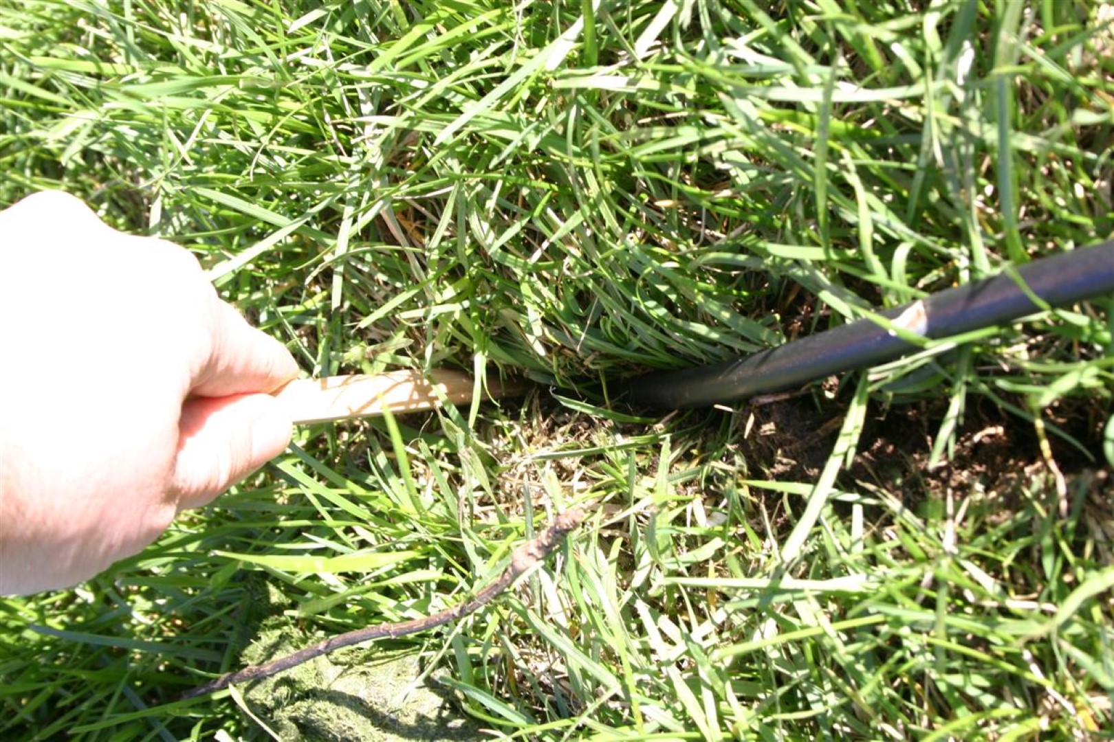 Using a wooden stick to push the coax down into the trench that was edged.