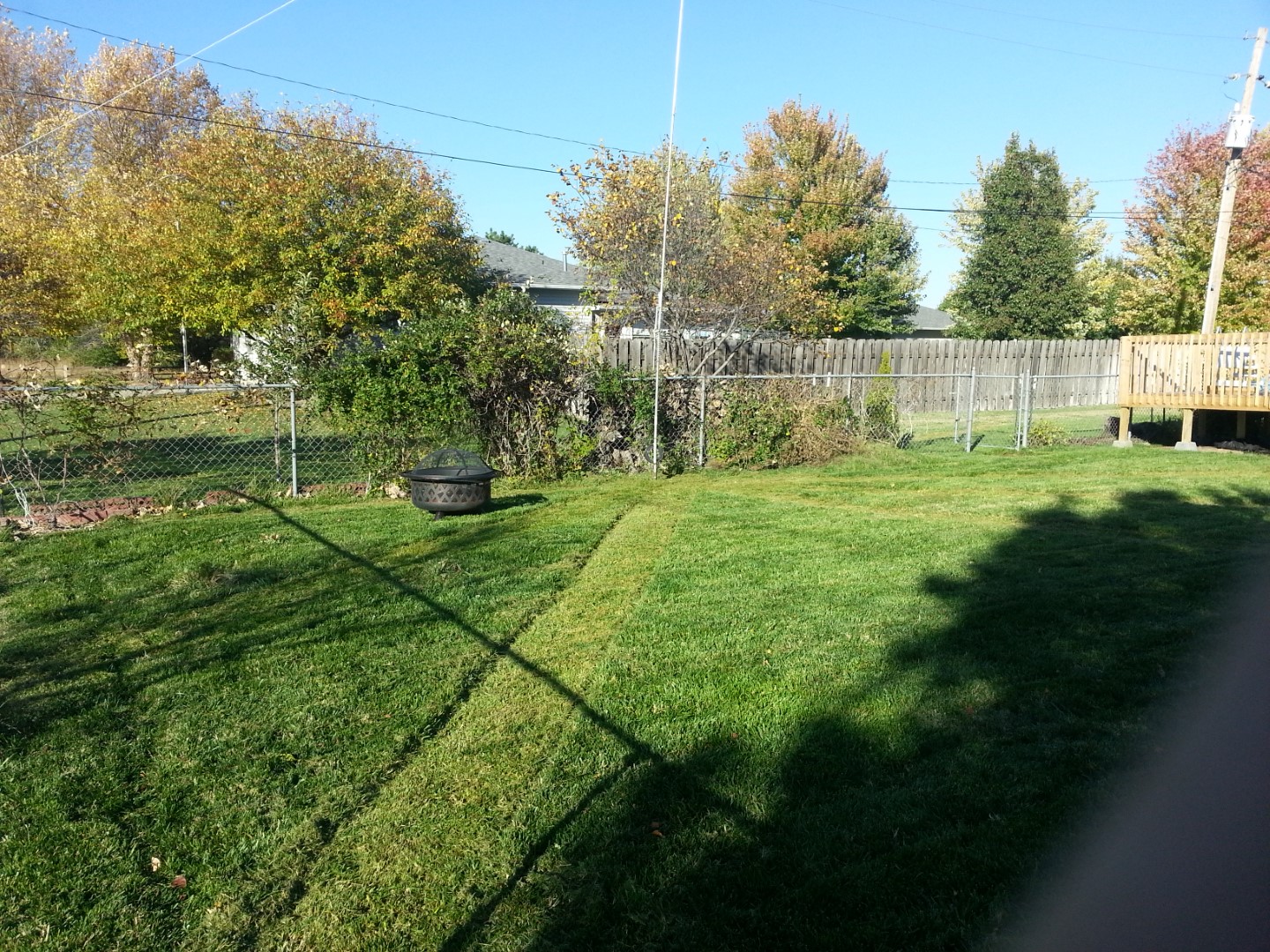 The Butternut vertical in the rear of the property. The short strips of grass are where the radials are buried.